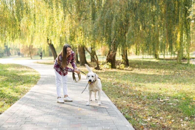Rilassamento: l’Interazione con il cane e i benefici sulle onde cerebrali