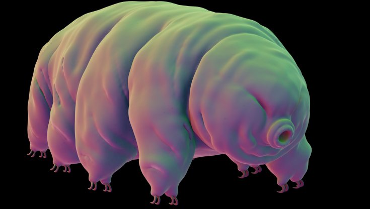 Proteine Tardigrade: La Chiave per Trattamenti Rivoluzionari?