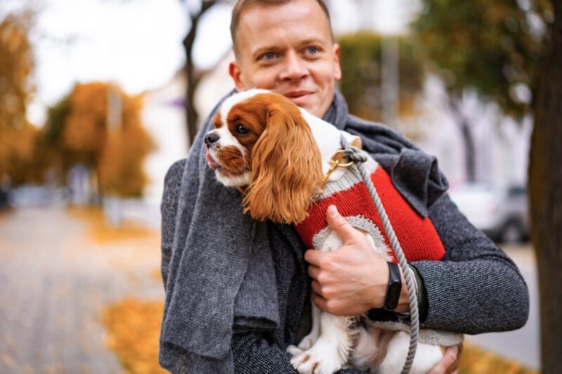 Scienza: dovremmo lasciare che il nostro cane ci lecchi?