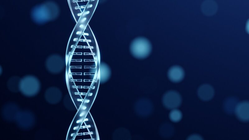 Il ruolo cruciale della dinamica dell’mRNA nell’identità delle cellule embrionali