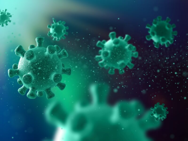 L’Invasione del virus dell’influenza nel cervello: un fenomeno complesso