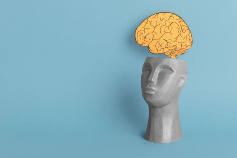 Nuove Scoperte: Sfide alle Teorie Esistenti sulla Funzione del Sonno