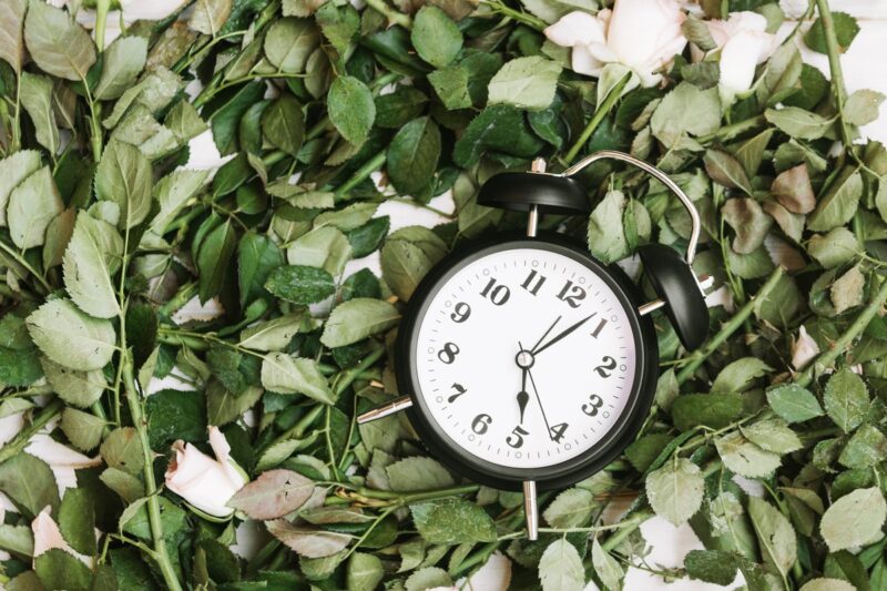 Ringiovanire l’orologio biologico: strategie efficaci per una vita più lunga e sana
