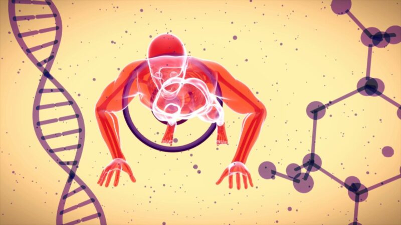 L’autismo e l’eredità genetica dei Neanderthal: nuove prospettive dalla ricerca