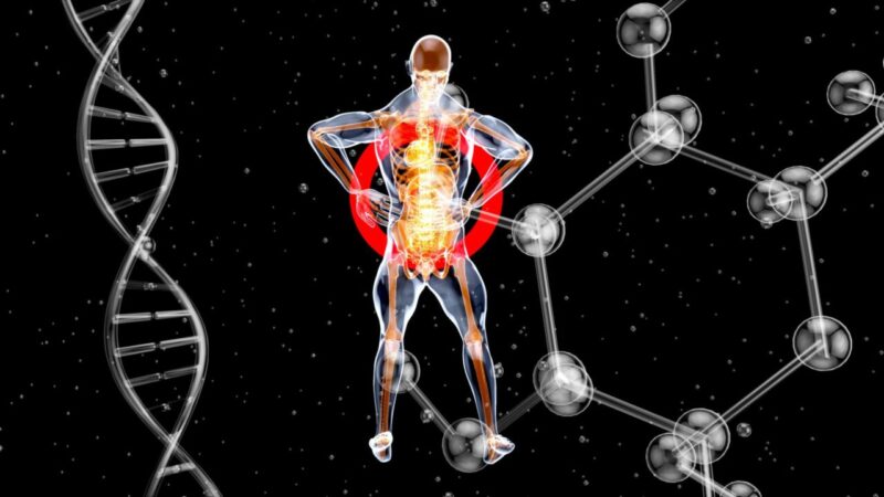 Perché le Donne Vivono Più a Lungo degli Uomini? Un Nuovo Studio Rivela Possibili Ragioni