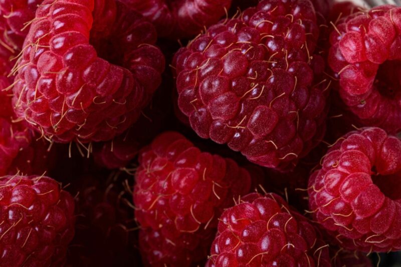 Combinare Flavonoidi e Vitamina B6: Un Potenziale Alleato per la Funzione Cognitiva?