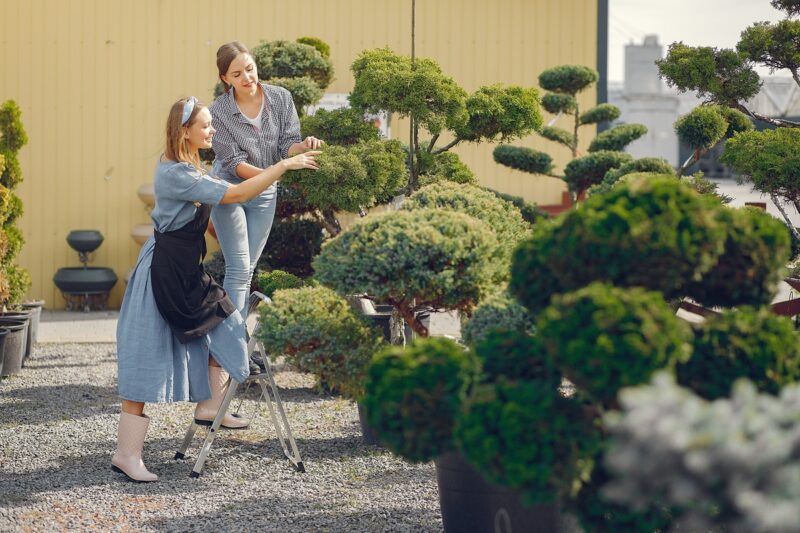 Come il giardinaggio urbano rafforza il sistema immunitario e migliora il benessere