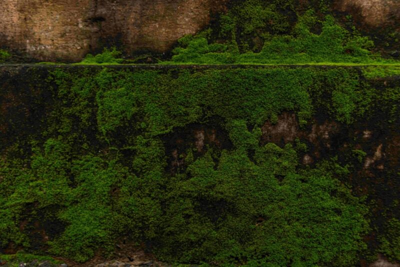 Scoperta Archeologica: Un Muro Difensivo Romano Costruito per Intrappolare Spartaco