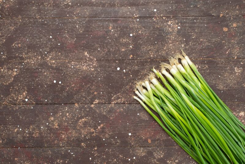 Erba Cipollina: benefici, rischi e precauzioni per la salute