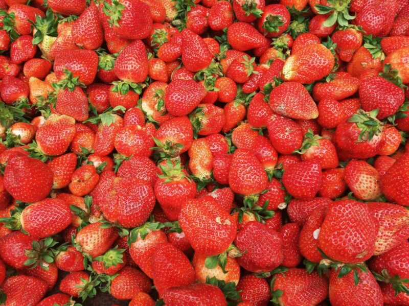 I Migliori Alimenti per la Salute del Cervello