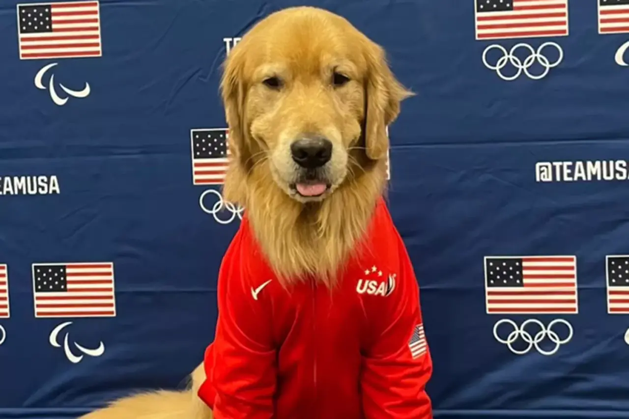 Beacon, l’Anima delle Olimpiadi: Quando un Cane Unisce e Ispira