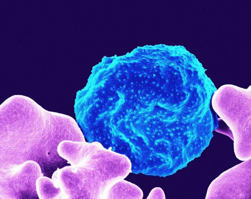 Parassiti Intestinali: La Possibile Causa della Scarsa Efficacia del Vaccino Covid-19