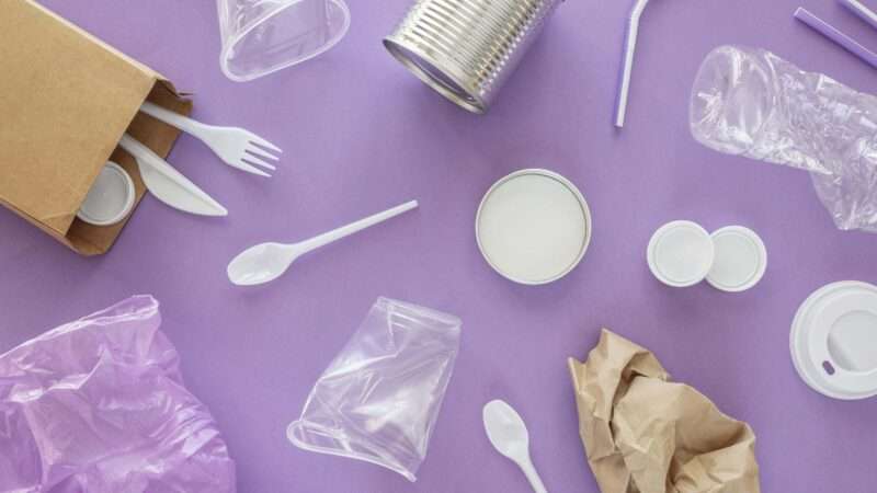 Trasformare la Plastica in Cibo: La Rivoluzionaria Ricerca che Sfrutta i Microbi