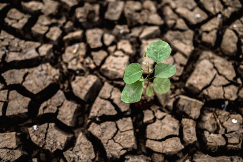 Scienziati Creano una Macchina Innovativa che Raccoglie l’Acqua dall’Aria