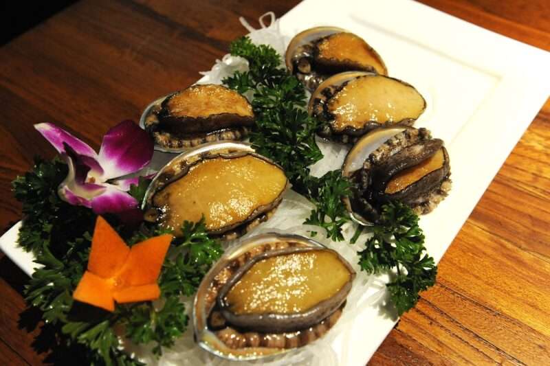 L’abalone: Il Tesoro del Mare Che Sta Conquistando le Cucine Gourmet