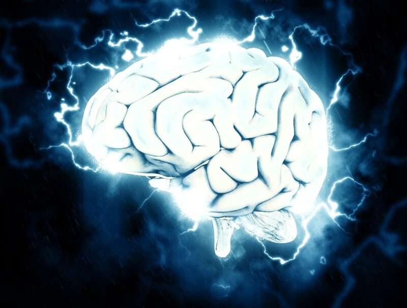 Fattori di Yamanaka e invecchiamento neuronale: nuova frontiera per la rigenerazione cerebrale