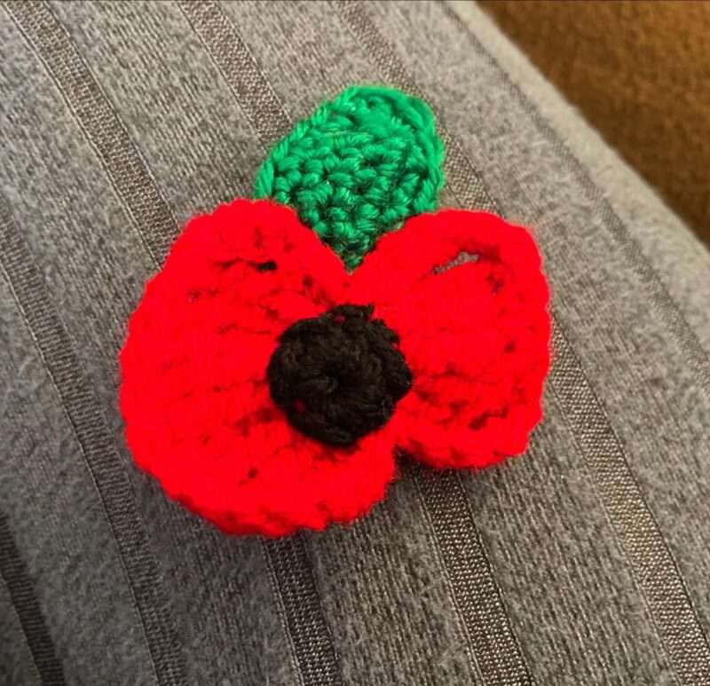 Perché gli inglesi indossano i papaveri nel Giorno della Memoria? Significato e storia di un simbolo di commemorazione