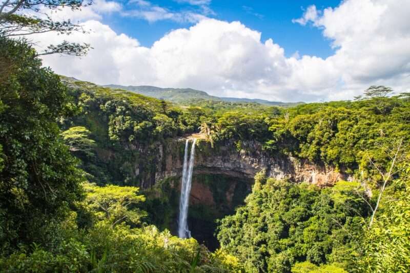 Amazzonia in pericolo: cause, conseguenze e soluzioni per il declino del polmone verde della terra