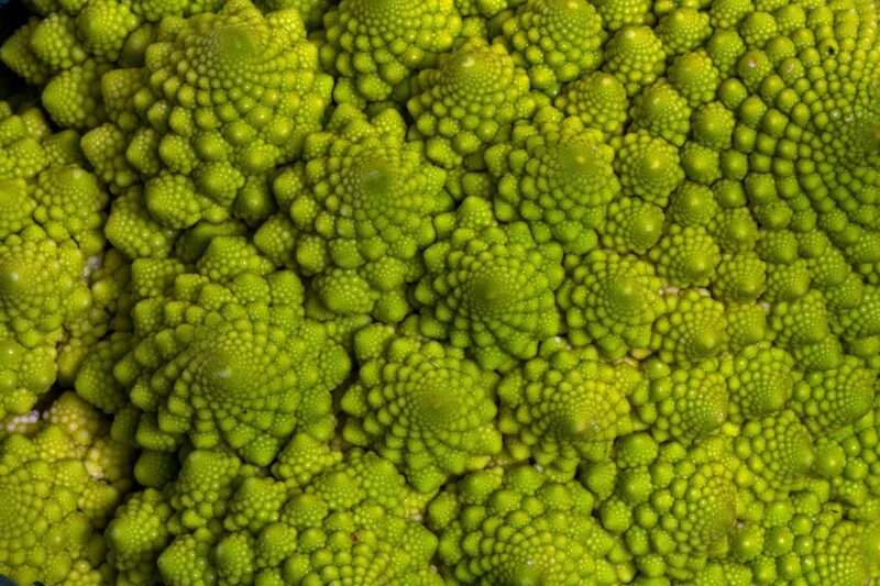 La perfezione matematica del broccolo romanesco: un capolavoro naturale