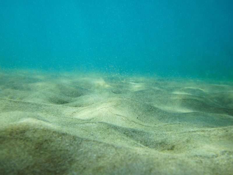 La NASA rivela una mappa innovativa del fondale oceanico con migliaia di vulcani scoperti
