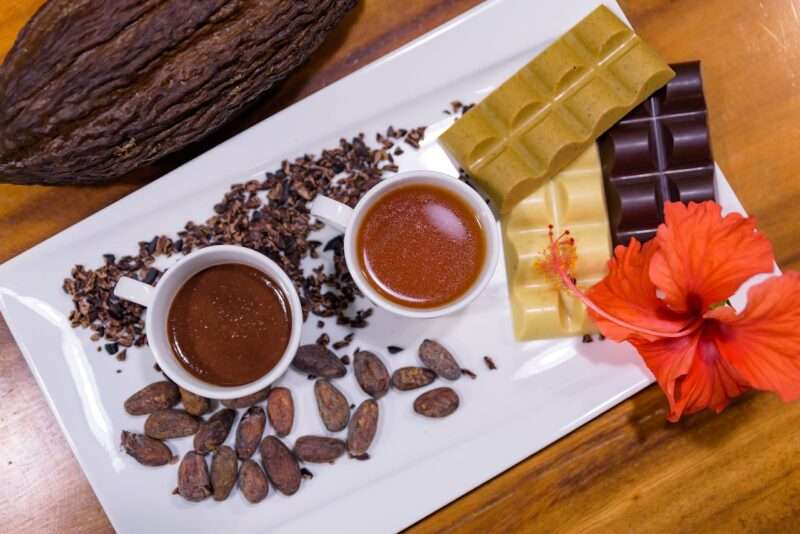 Il Cioccolato: Moneta Divina per i Maya