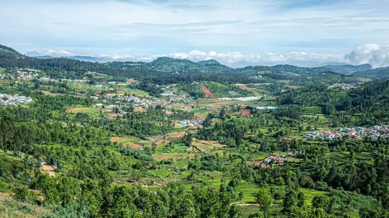 66 Milioni di Alberi in 12 Ore: L’Incredibile Record di Rimboschimento dell’India