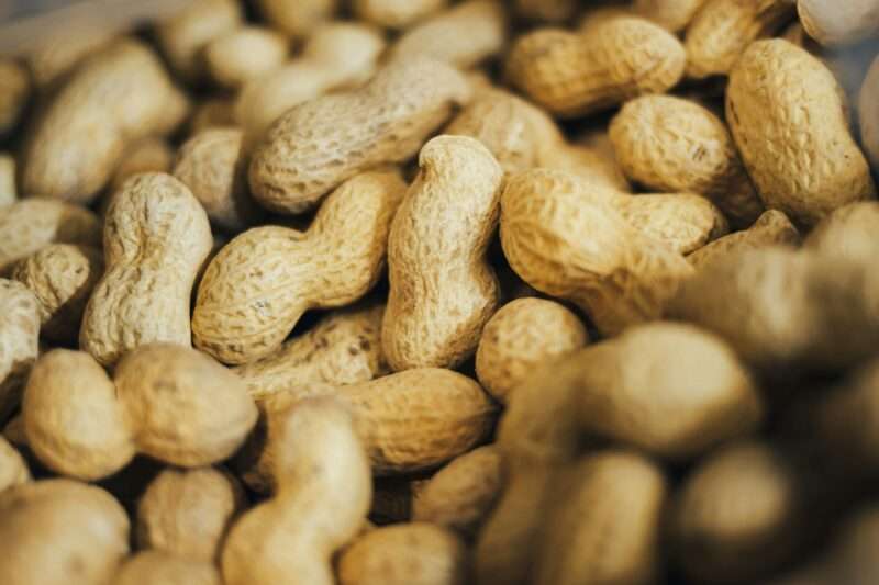 Allergia alle arachidi: un nuovo trattamento potrebbe cambiare tutto