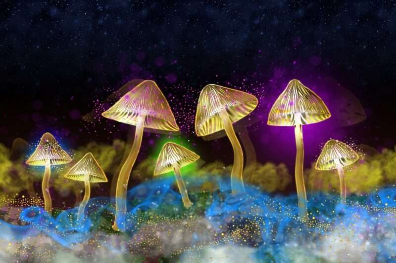 Intelligenza artificiale usata per creare proteine ​​luminose e simulare 500 milioni di anni di evoluzione