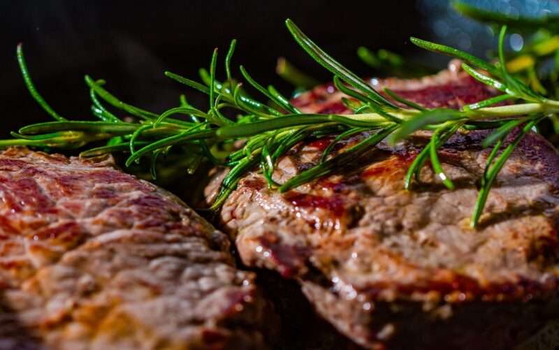 La carne ricca di Omega 3 che non ti aspetti: il coccodrillo
