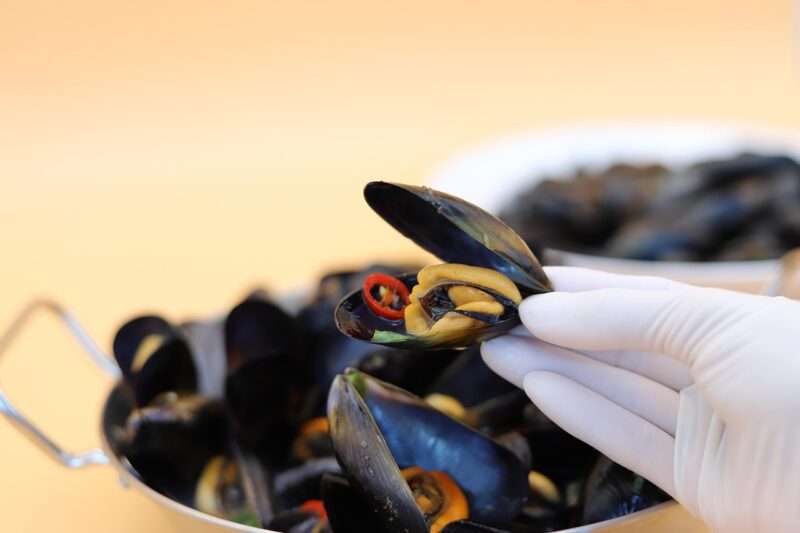 Perché alcune cozze sono bianche e altre arancioni? Il significato del loro colore