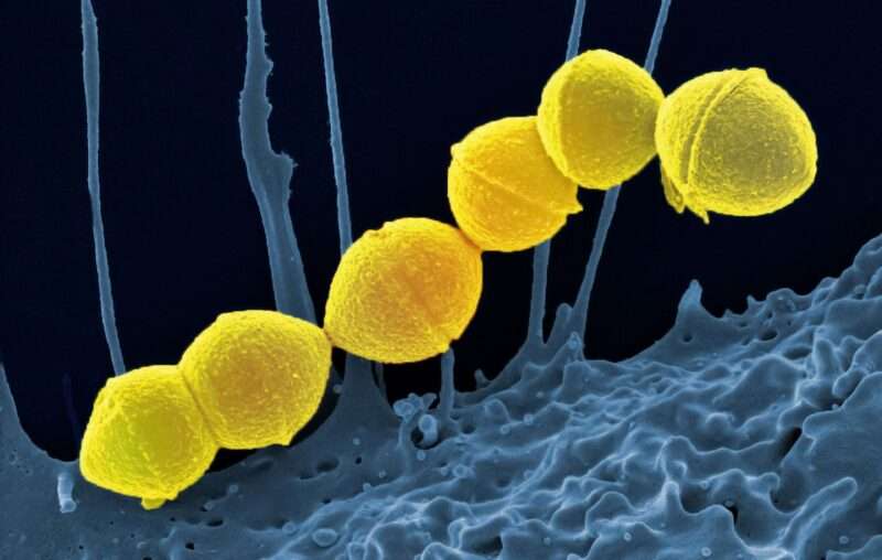 Superbatteri: l’IA risolve in 2 giorni un problema che ha richiesto 10 anni