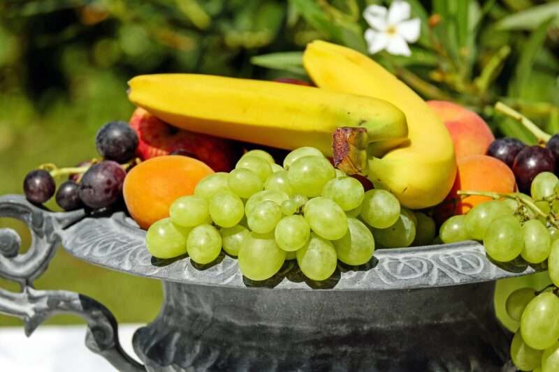 Frutta ricca di proteine: quali scegliere per un’alimentazione equilibrata