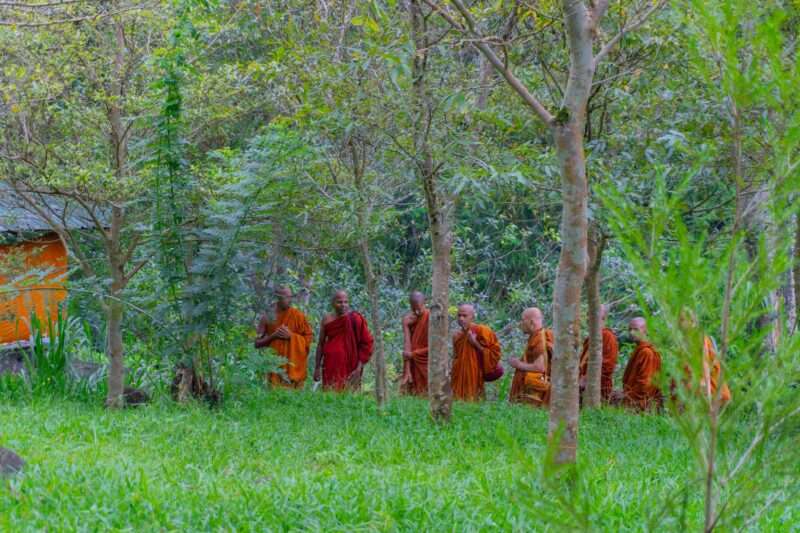 Le rigide regole dei monaci buddisti: tra disciplina e spiritualità