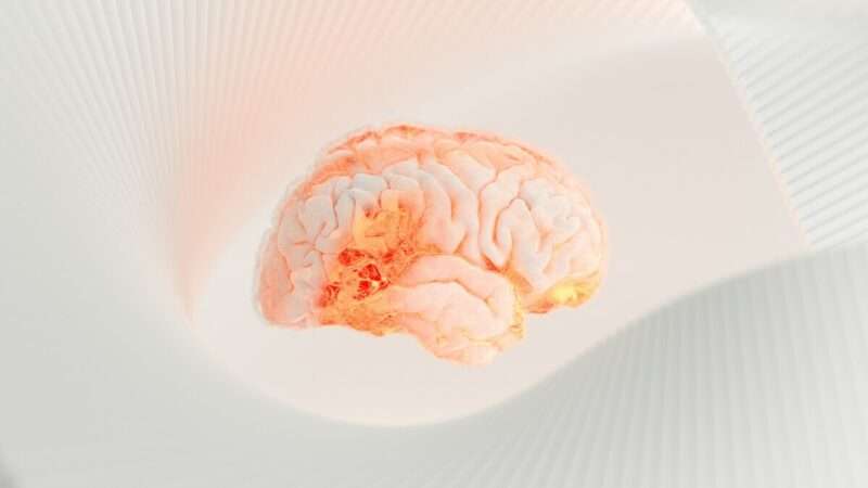 Alzheimer: l’empatia resiste anche quando tutto il resto scompare