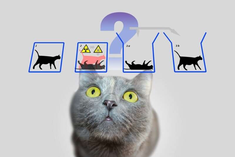 Il gatto di Schrödinger vive più a lungo (nella sua versione quantistica)