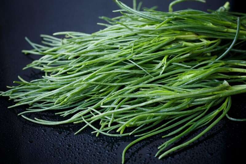 Agretti: il superfood primaverile ricco di fibre e leggero, ecco come cucinarli al meglio