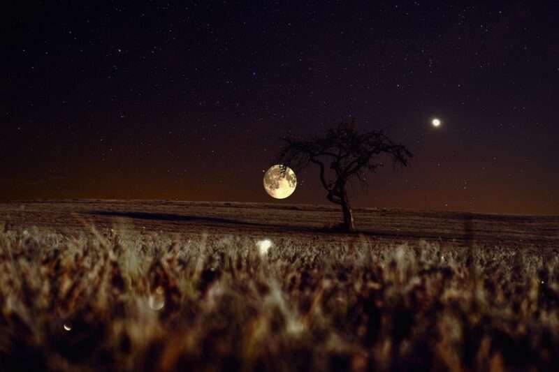 Nocturismo: la nuova tendenza di viaggio che celebra l’oscurità totale