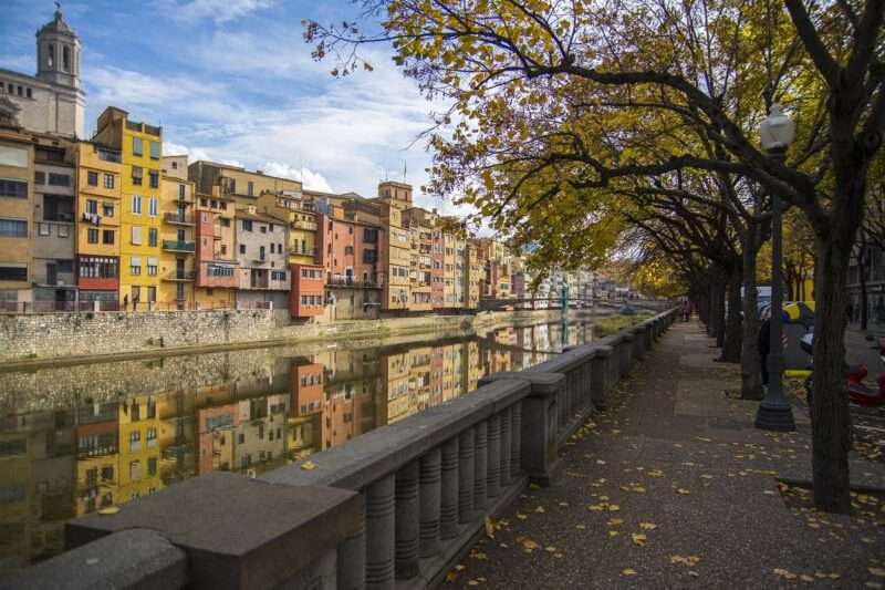 Un 30% in più di alberi in città potrebbe salvare un milione di vite, lo dice la scienza
