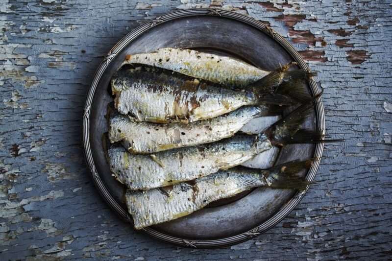 Omega 3 e Omega 6: i grassi buoni che proteggono dal cancro
