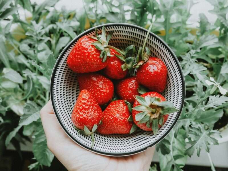 Fragole: benefici per colesterolo, glicemia e cervello secondo la scienza
