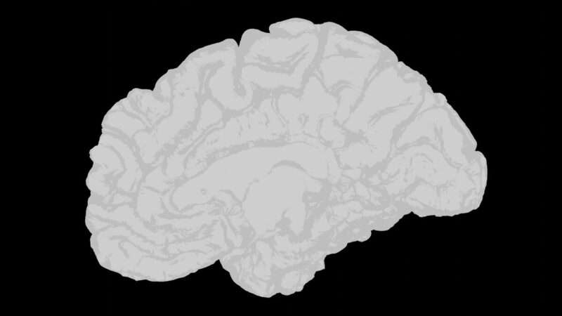 Hevin, la molecola che potrebbe invertire il declino cognitivo nell’Alzheimer