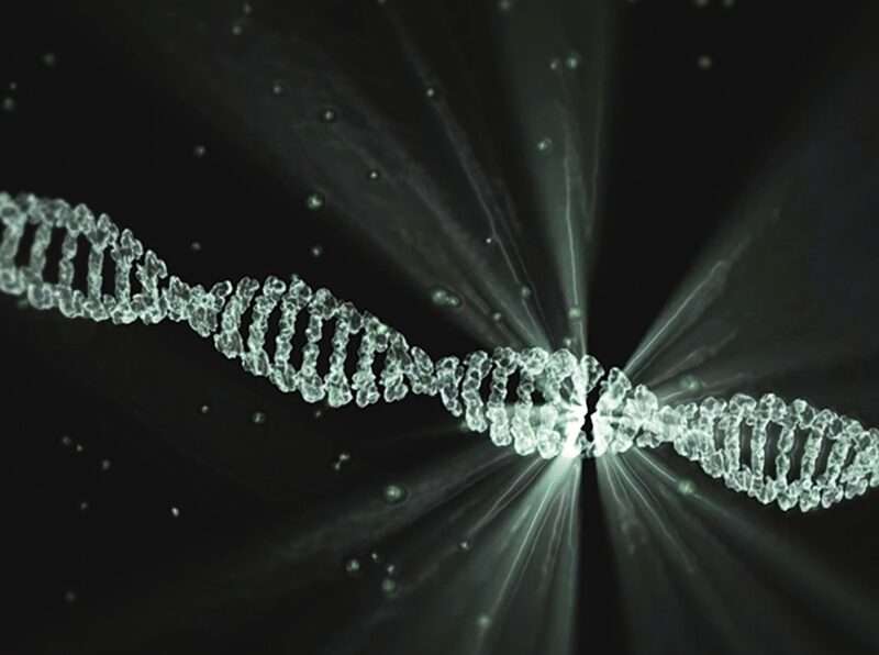 Progetto controverso: si crea DNA umano artificiale da zero, tra speranze mediche e timori etici