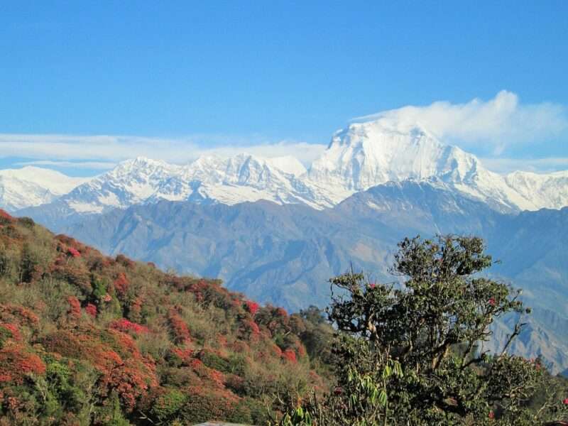 Himalaya senz’acqua: il villaggio costretto a migrare per colpa della crisi climatica