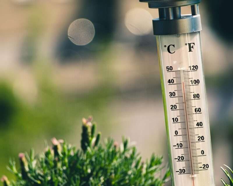 Caldo estremo: anche i cuori giovani possono cedere