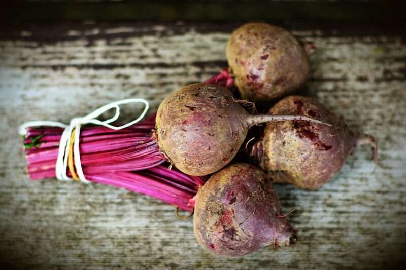 Barbabietole: il segreto naturale per cuore sano e invecchiamento attivo