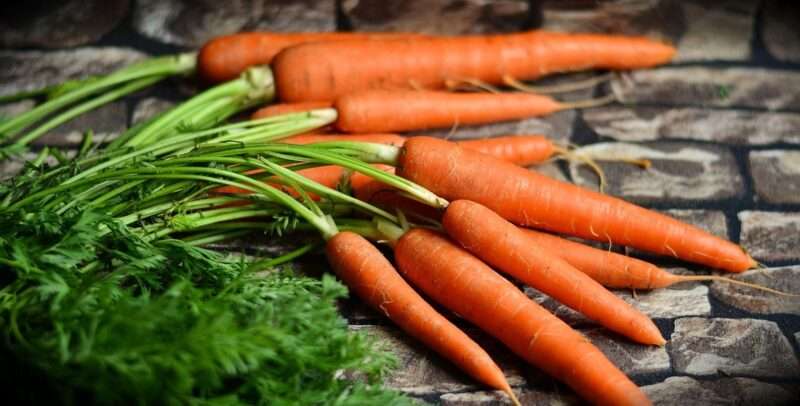 Glutammina: il segreto per occhi sani non è solo nelle carote
