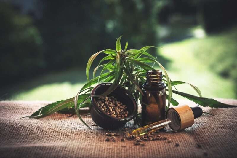 Un lievito naturale per sostituire l’olio di palma: la svolta green