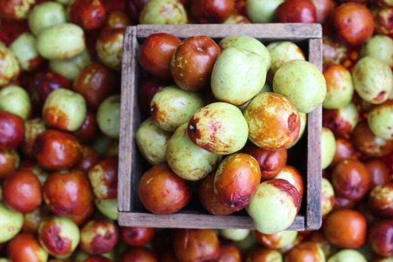 Perché si dice “andare in brodo di giuggiole”? Origini e curiosità