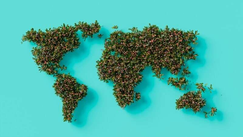 Riscaldamento globale e zucchero: perché il “nuovo tabacco” ci minaccia