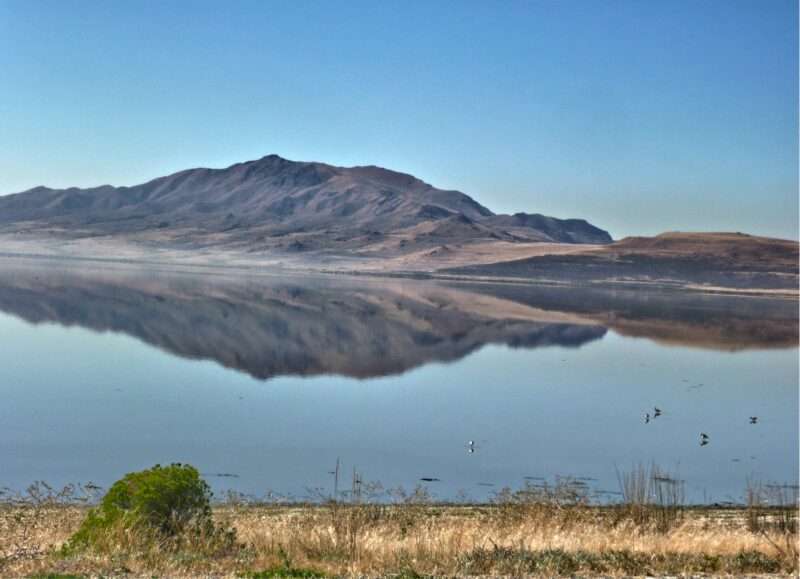 Le isole “viventi” del Gran Lago Salato: svelato il mistero dell’acqua dolce